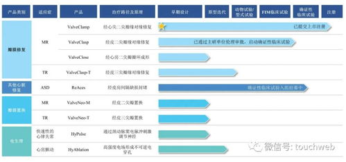 捍宇醫療IPO折戟 17億募資夢碎，CPE、云鋒基金股東背后，網絡營銷策劃如何影響醫療科技企業價值？
